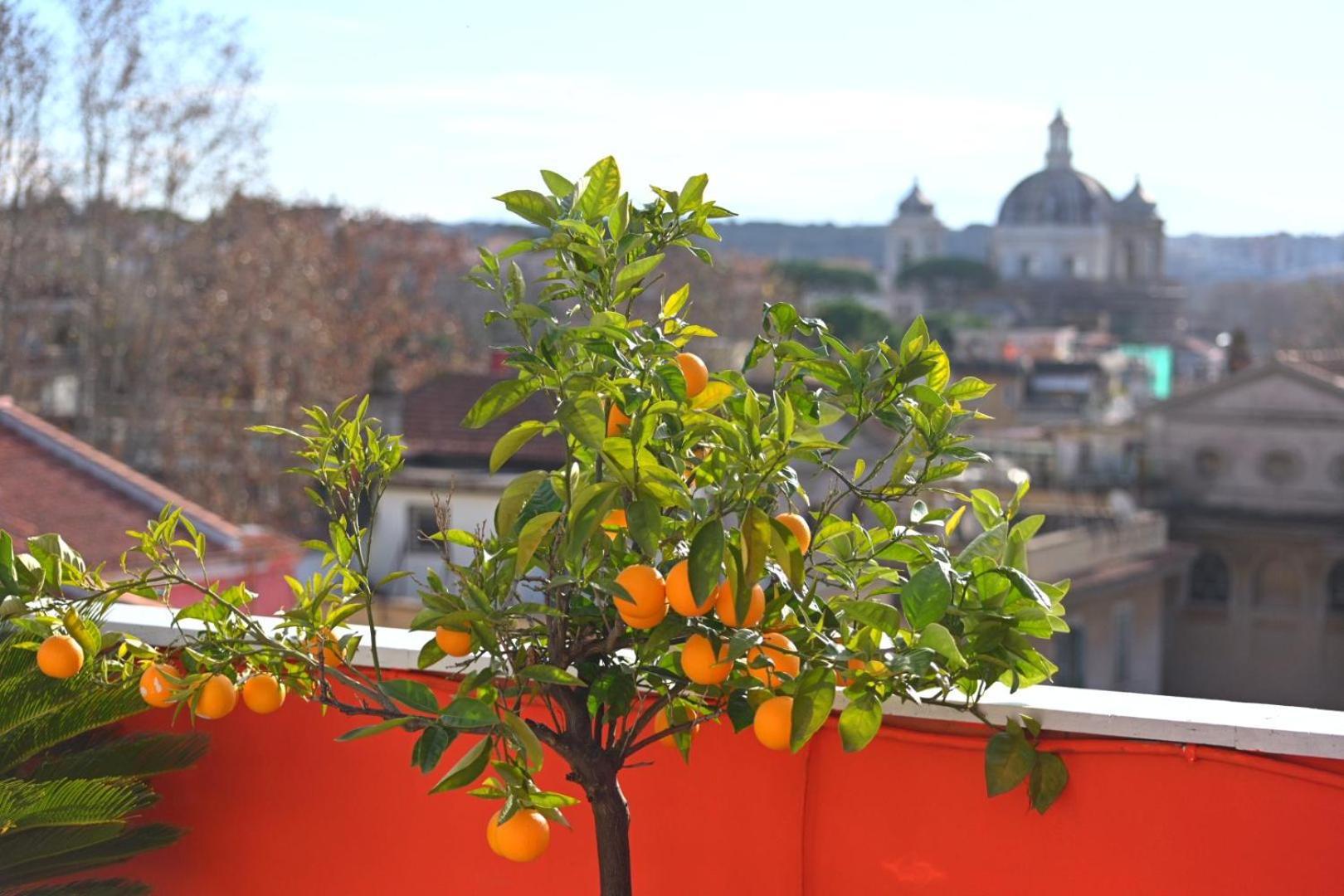 Farnesina Rooftop Terrace Roma Ngoại thất bức ảnh